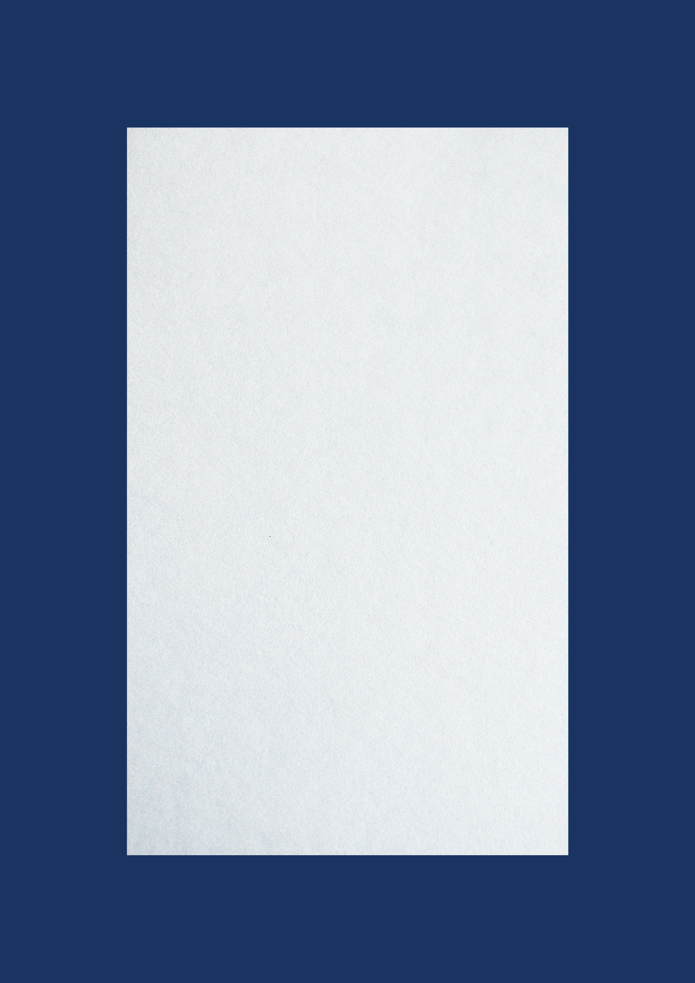 AEROSOL BLOTTER